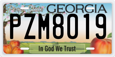 GA license plate PZM8019