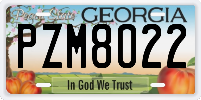 GA license plate PZM8022