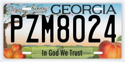 GA license plate PZM8024