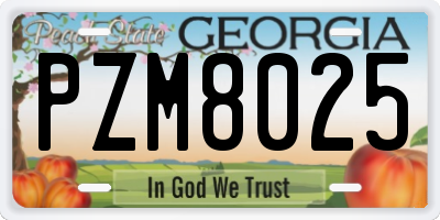 GA license plate PZM8025