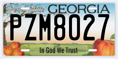 GA license plate PZM8027