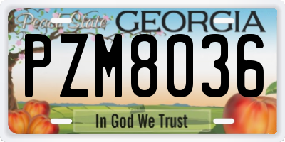 GA license plate PZM8036