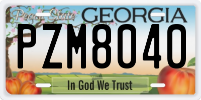 GA license plate PZM8040