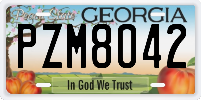 GA license plate PZM8042