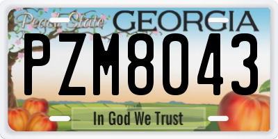 GA license plate PZM8043