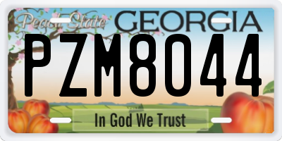 GA license plate PZM8044