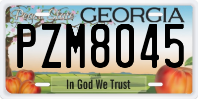 GA license plate PZM8045