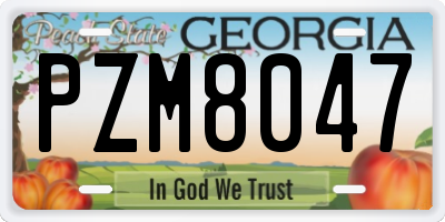 GA license plate PZM8047