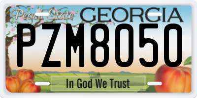 GA license plate PZM8050