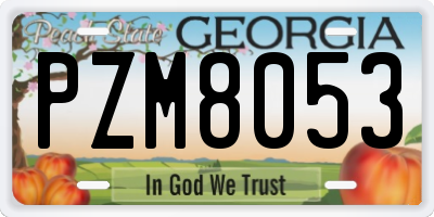 GA license plate PZM8053