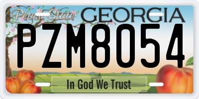 GA license plate PZM8054