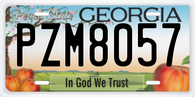 GA license plate PZM8057