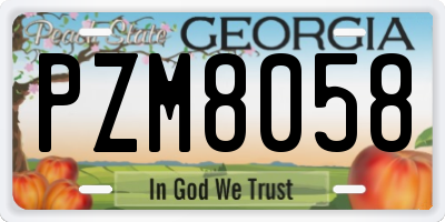 GA license plate PZM8058