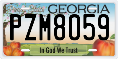 GA license plate PZM8059