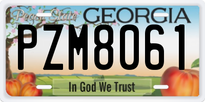 GA license plate PZM8061