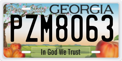 GA license plate PZM8063