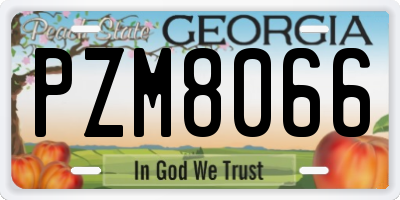 GA license plate PZM8066