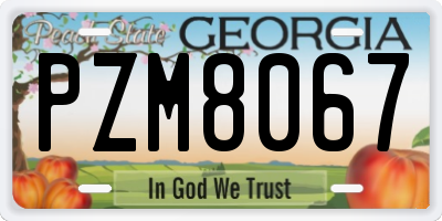 GA license plate PZM8067