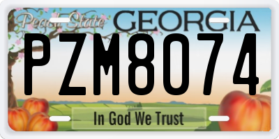 GA license plate PZM8074