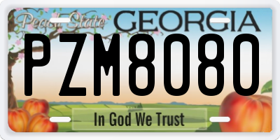 GA license plate PZM8080