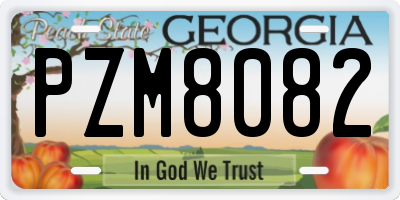 GA license plate PZM8082