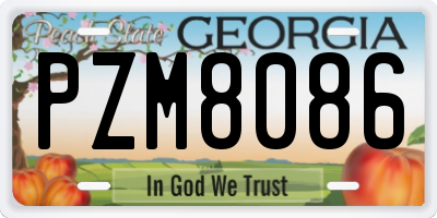 GA license plate PZM8086