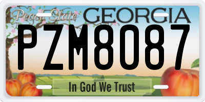 GA license plate PZM8087