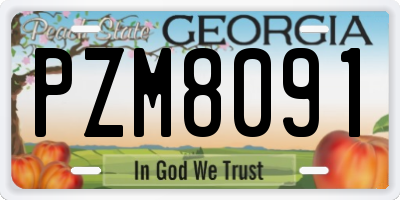 GA license plate PZM8091