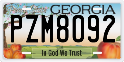 GA license plate PZM8092