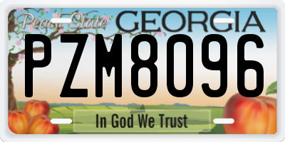 GA license plate PZM8096