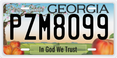 GA license plate PZM8099