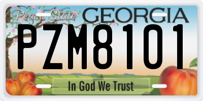 GA license plate PZM8101