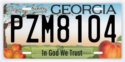 GA license plate PZM8104