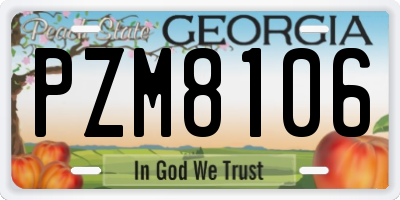 GA license plate PZM8106