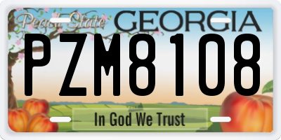 GA license plate PZM8108
