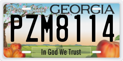 GA license plate PZM8114