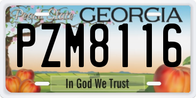 GA license plate PZM8116