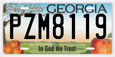 GA license plate PZM8119