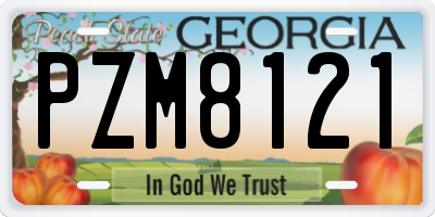 GA license plate PZM8121