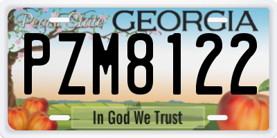 GA license plate PZM8122