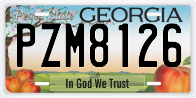 GA license plate PZM8126