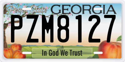 GA license plate PZM8127