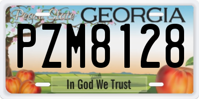 GA license plate PZM8128
