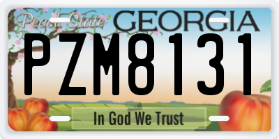 GA license plate PZM8131