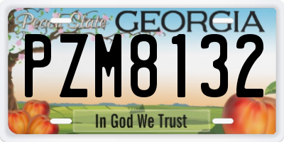GA license plate PZM8132