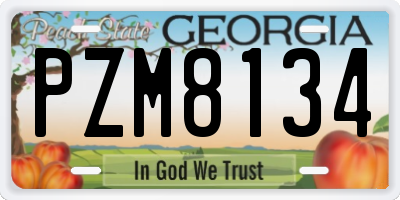 GA license plate PZM8134