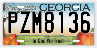 GA license plate PZM8136