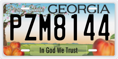 GA license plate PZM8144