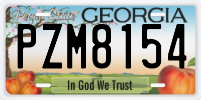 GA license plate PZM8154
