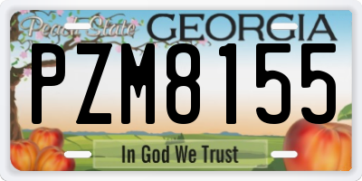 GA license plate PZM8155